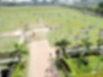 DSCN4419