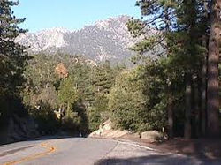 images-3