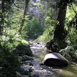 images-3_edited