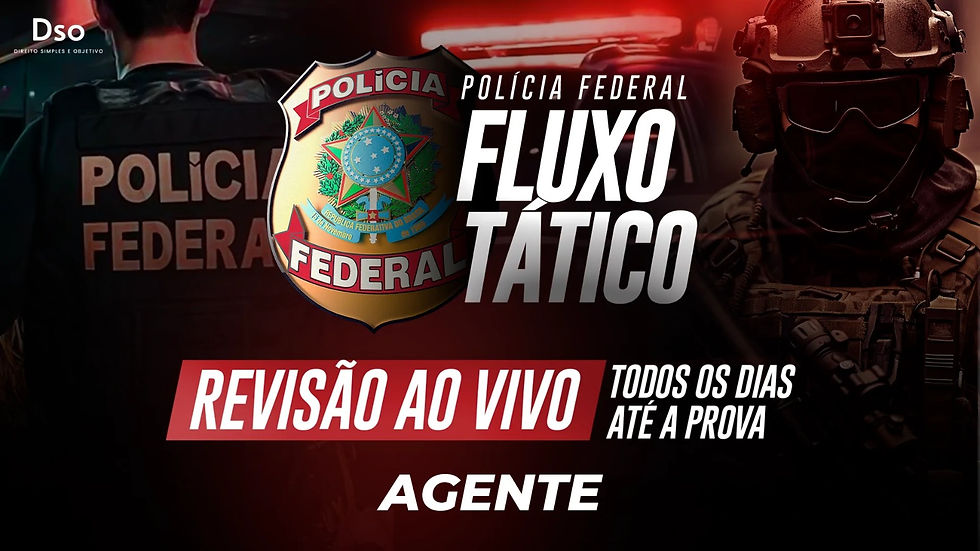 fluxo agente.jpeg