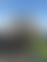 Windows Of Opportunity