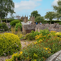 Z72_2739-Edit.jpg