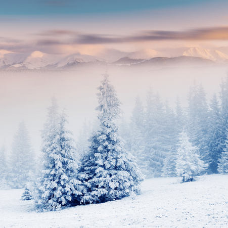 ASTROLOGICKÝ KALENDÁŘ Leden 2026