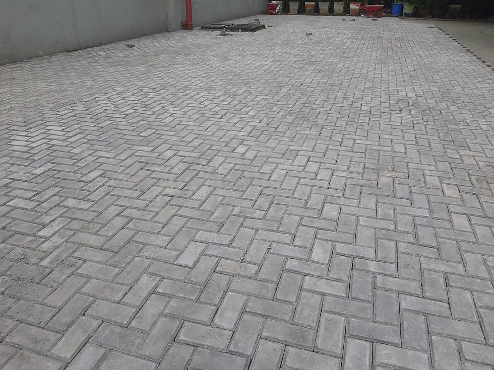 WhatsApp Image 2022-03-19 at 10.55.42 AM-2