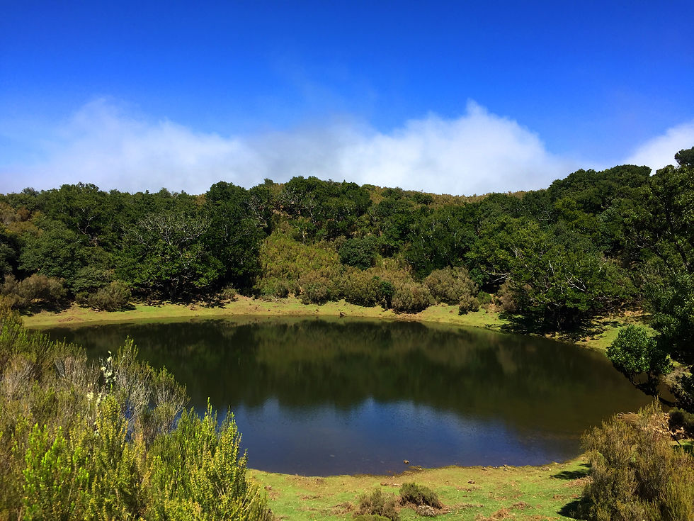 Thumbnail: North Coast TOUR (Full Day)