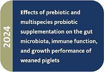 botao-artigo-effects-probiotics.jpg