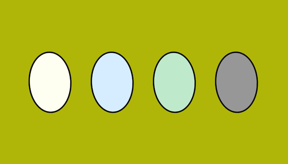 Duck Egg Color Comparison Chart