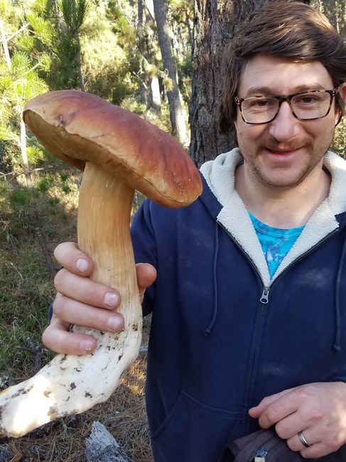 Man holding giant porcini mushrooms