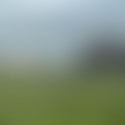 Physical State of Matt #31: NORTH DAKOTA