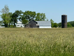Deep Grass