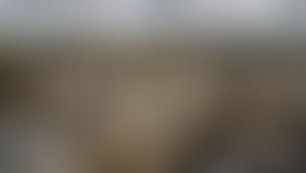 Can a Development Corporation Unlock Cambridge’s Potential — and What Would it Mean for the East of England?