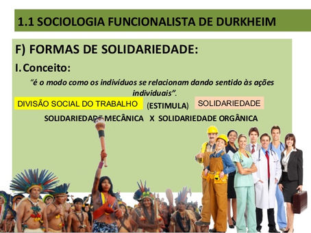 Sociologia - Primeiros anos