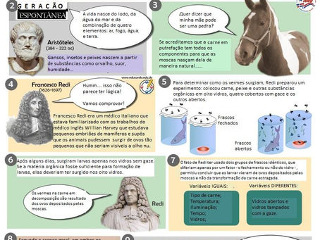 Atividade de Biologia 2 (todas as turmas)