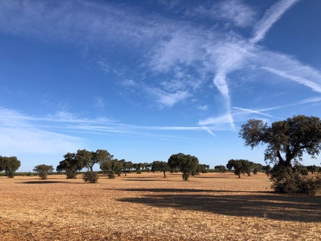 Autumn cycling in the Algarve