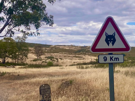 The best road sign ever?