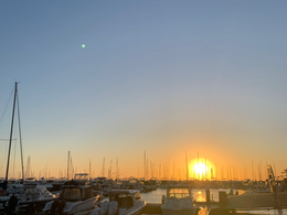 Reflections on an empty diary (2025)