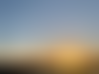 Reflections on an empty diary (2025)