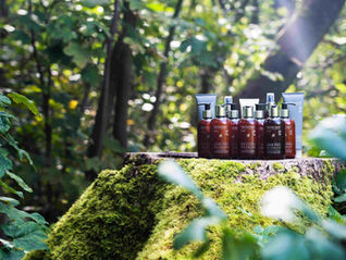 Why London's Top Salons Are Switching to Natural Hair Products (2025 Guide)