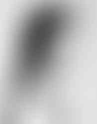_ (6) copy