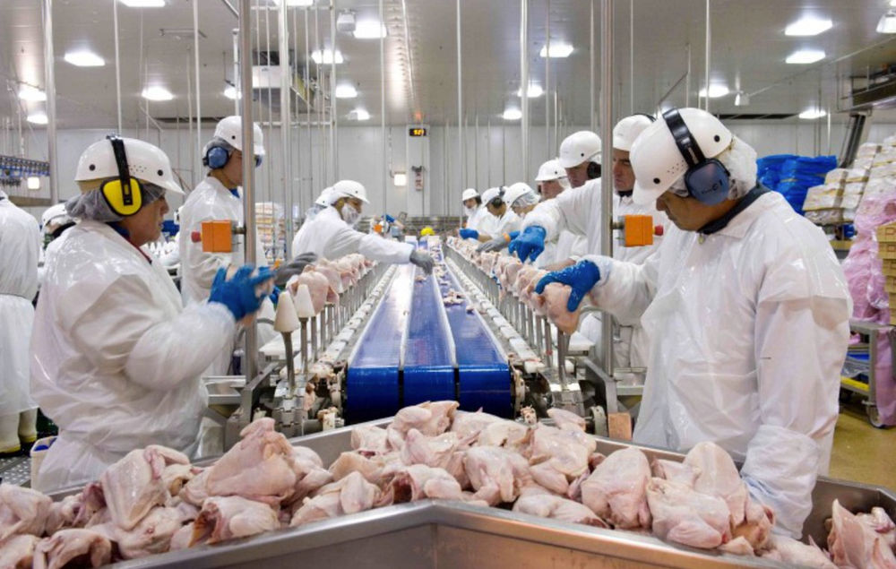 Tyson Foods : Where Does the Dilemma Begin and Responsibility End?