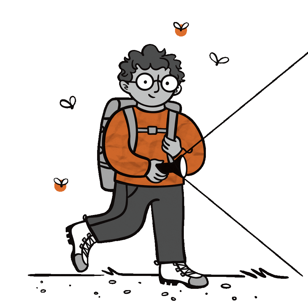custom hand drawn illustration by awen&co of a boy holding flash light with fireflies twinkling around him