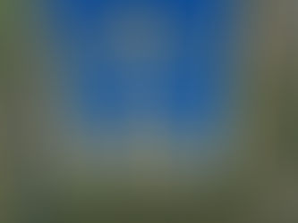 The New Toyota's Are In!