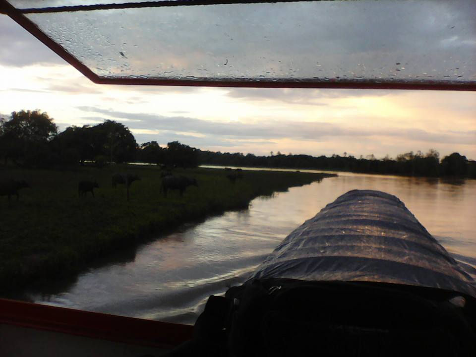 11403391_10207006770067138_5886674675565511557_n