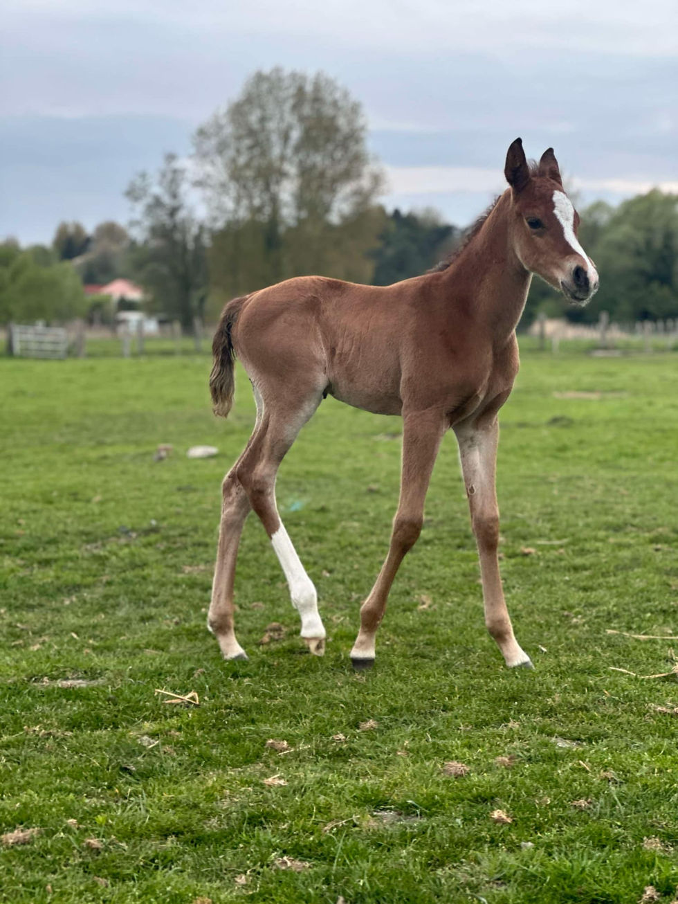 att.k-bCtd389lhdgktflKP2XvEToCn0PHtZxGXjBkLj_Os