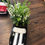 Thumbnail: NASCAR