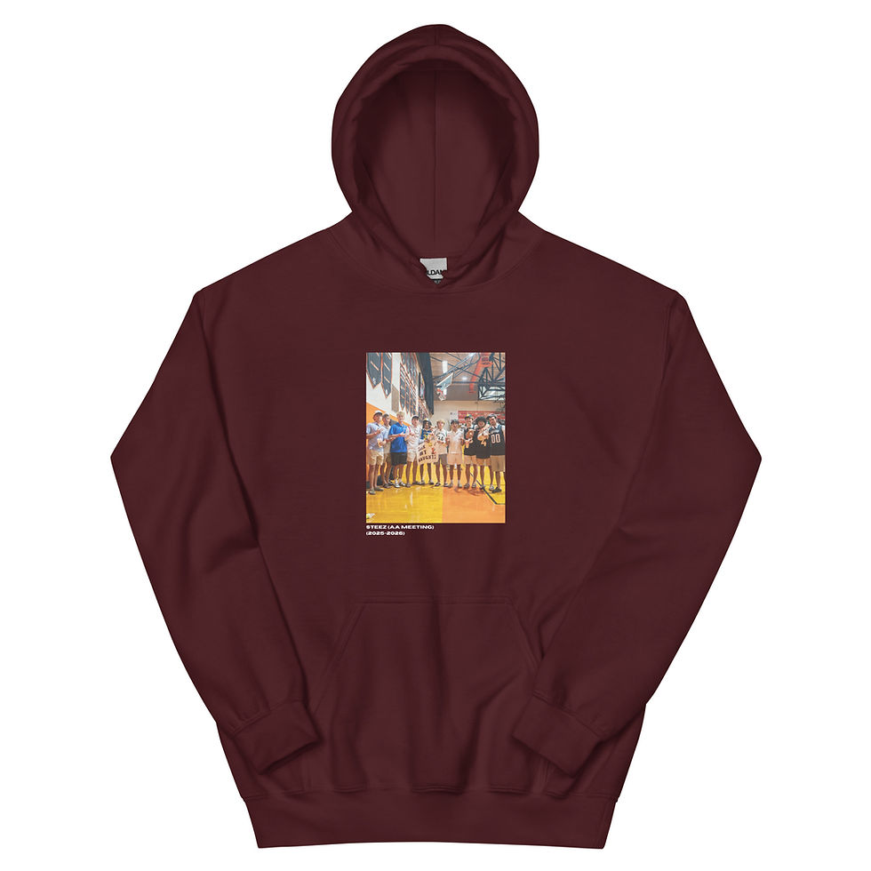 AA MEETING STEEZ MENS HYPE HOODIE (WITH COLOR OPTIONS)