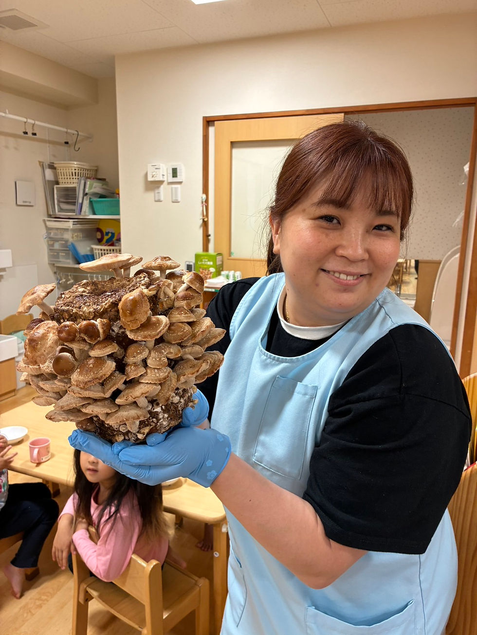 しいたけの収穫