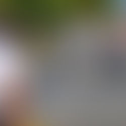 Fomentan el deporte familiar en avenidas de Cancún a través de “Paseo Cancunense”