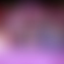 Celebran Noche de Juventudes en el festival Luz y vida "Entre Vivos y Muertos"