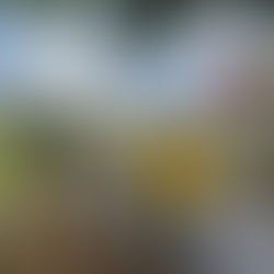 Atiende Protección Civil problemas causadas por lluvias