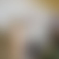 Eduardo Verástegui y Adriana Teissier le dan un “Sí a la vida, la maternidad y la familia”