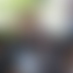 Justicia social con programa "Comemos Tod@s"