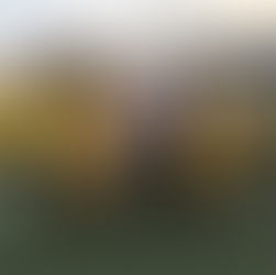 Celebra UPDQROO con torneo de futbol Día de la Libertad de Expresión; promueve el deporte