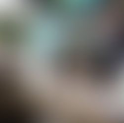 Brillan Isla Mujeres y Costa Mujeres en la FITUR 2025