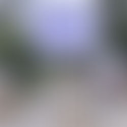 Panteones permanecerán cerrados en Día de Muertos por cuestiones de la pandemia