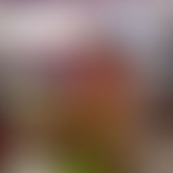 Primera Jornada de acercamiento ciudadano de 2026 benefició a 107: Blanca Merari