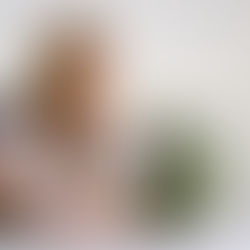 Construirán chetumaleños sus propias rutas en el transporte público