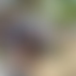 Otro parque infantil rescatado en Chetumal; lo entrega la gobernadora