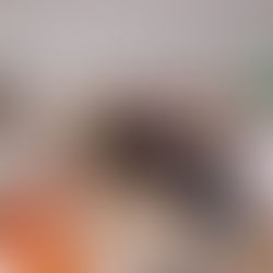 Nuevo Comité operativo de prevención, atención y combate de incendios forestales