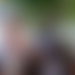 Rescatan parque de la colonia Lagunitas dentro del programa “Que brille Chetumal”