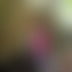 Impulsa el Estado agenda ambiental como respuesta de años de abandono ecológico