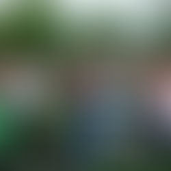 Inaugura Gobernadora espacio multideportivo en la Caribe