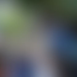 Llega a El Pocito programa "Del Mar a tu Mesa"; familias recibieron su pescado  