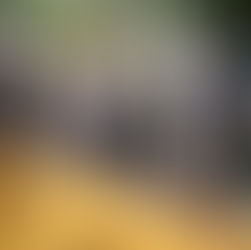 Inspecciona alcaldesa taller Municipal; verifica condiciones de unidades y maquinaria