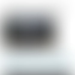 Un fracaso llegada de Capella Ibarra a Quintana Roo; se dedicó “al Circo” del gobierno; su protector