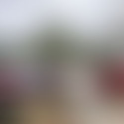 Asociación “Diez en Alerta A.C.” lucra con necesidad de pobladores bajo complicidad del Ayuntamiento